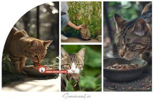 غذای گربه ها در طبیعت