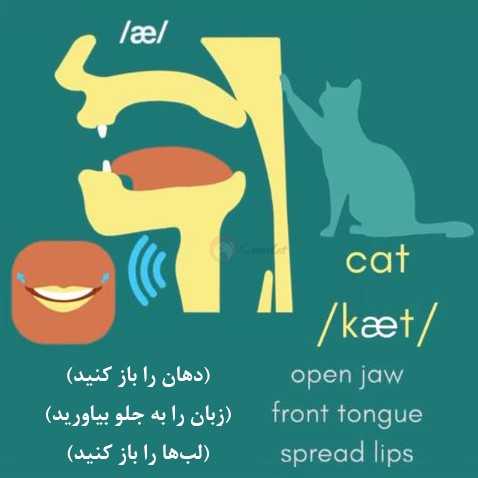 نحوه تلفظ گربه