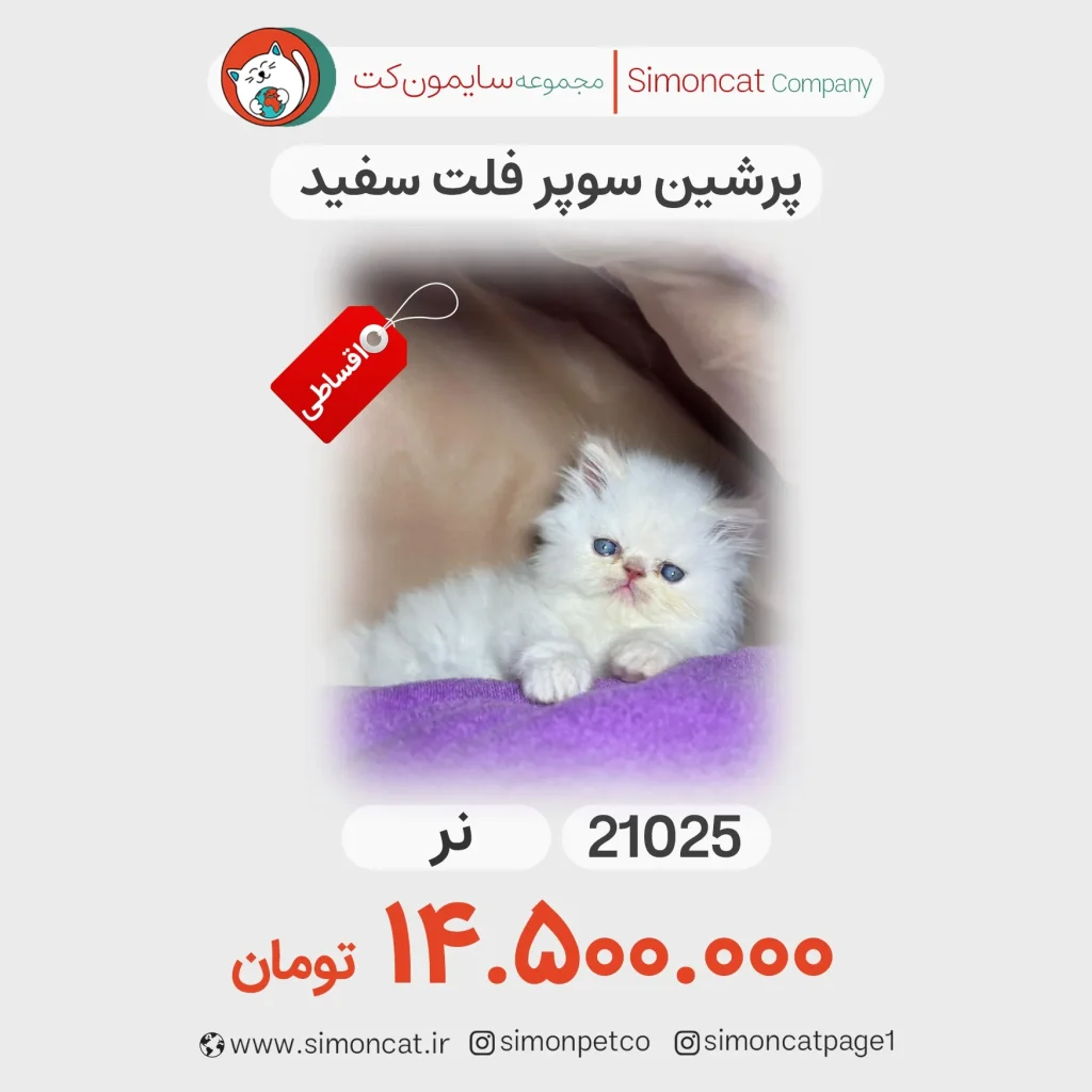 پرشین سوپر فلت سفید کد 21025