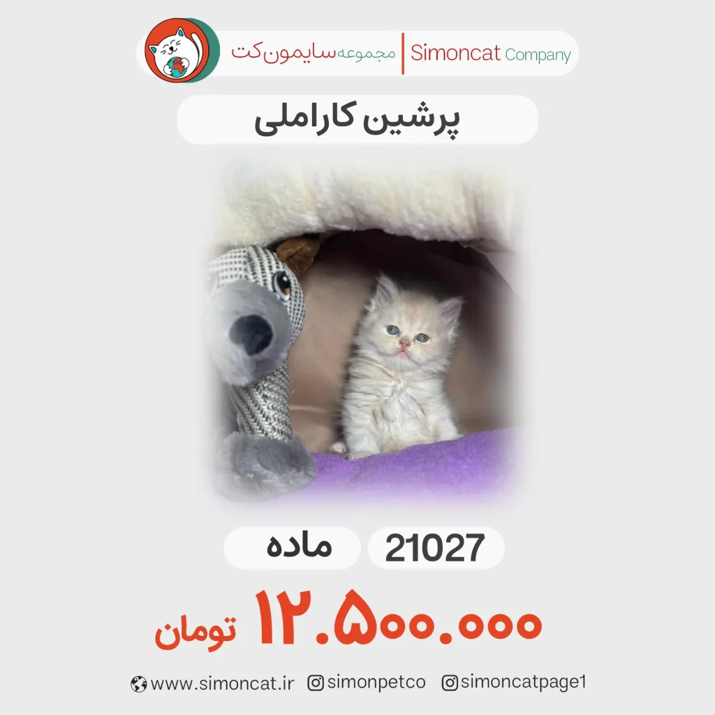پرشین کاراملی کد 21027