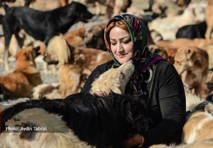 پناهگاه های حیوانات خانگی