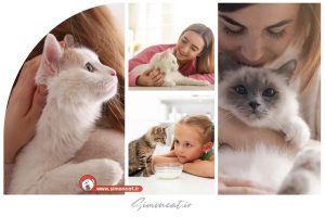 آیا وجود گربه در خانه خوب است؟