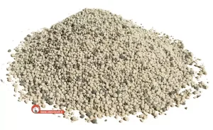 خاک بستر گربه