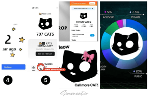 عکس گربه برای کتس