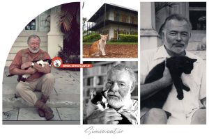 همینگوی و گربه های چند انگشتی