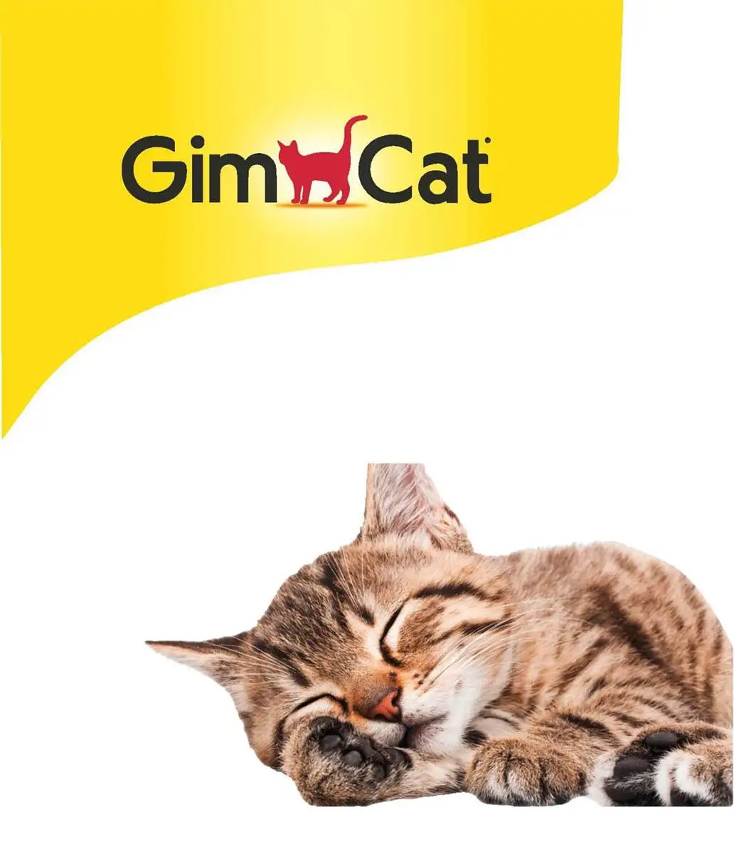 Gim Cat
