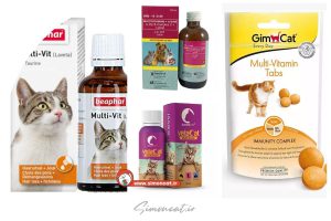 استفاده از مولتی ویتامین انسانی برای گربه