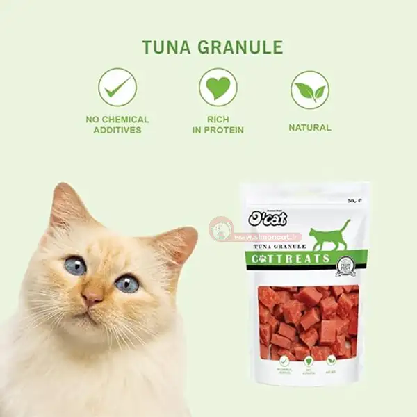 تشویقی گربه تن ماهی