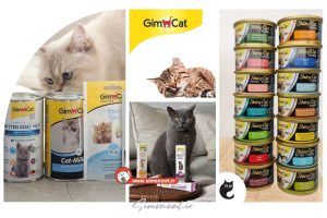 جیم کت چیست