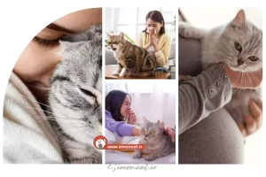 رفتن موی گربه به گلو