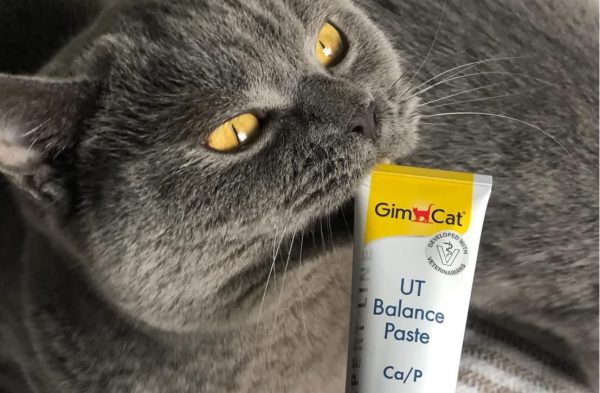 عکس خمیر مکمل گربه یورینری بالانس GimCat