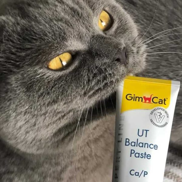 عکس خمیر مکمل گربه یورینری بالانس GimCat