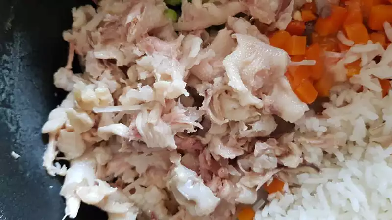 غذای خانگی برای بچه گربه