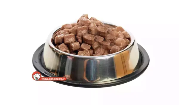 پوچ بچه‌گربه فریسکیز