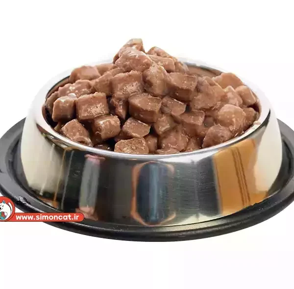 پوچ بچه‌گربه فریسکیز