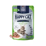 پوچ گربه با طعم بره