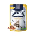 پوچ گربه با طعم مرغ