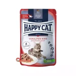 پوچ گربه با طعم گوشت گاو