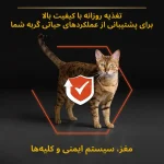 غذای خشک گربه بالغ ویتال فانکشن با طعم ماهی سالمون