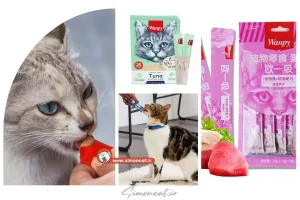 قیمت بستنی گربه