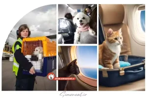 ممنوعیت ورود حیوانات به فرودگاه