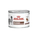 کنسرو ریکاوری سگ و گربه رویال کنین