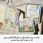 بذر علف گربه Gim Cat