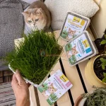 علف خوراکی گربه جیم کت - تصویر 5