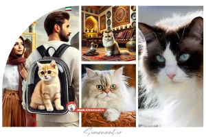 خرید گربه کرمان