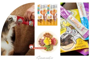 راهنمای خرید تشویقی گربه