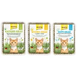 علف خوراکی گربه جیم کت