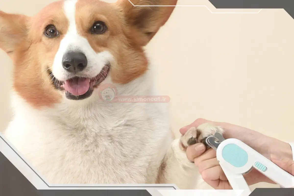 ناخن‌گیر مدل انبری