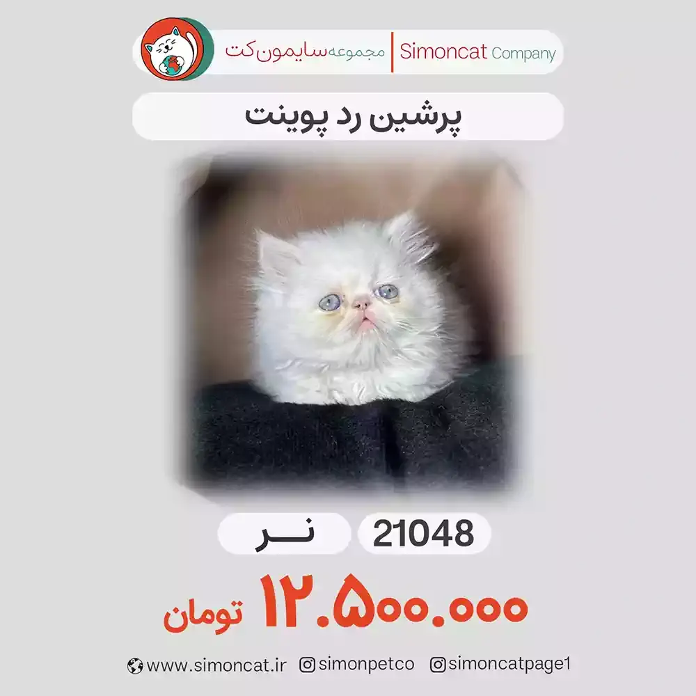 پرشین رد پوینت