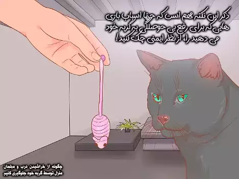 اسباب بازی گربه