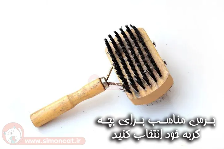 استفاده از برس های مخصوص گربه