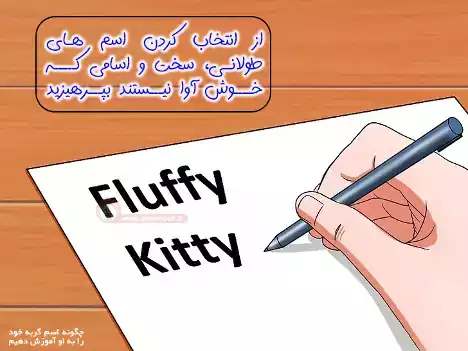 انتخاب اسم آسان برای گربه