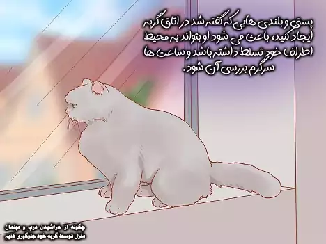 ایجاد پستی و بلندی در اتاق گربه
