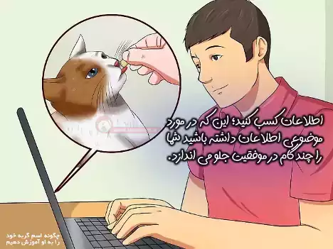 با اطلاعات کافی به آموزش گربه بپردازید