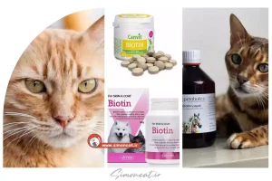 بیوتین برای گربه