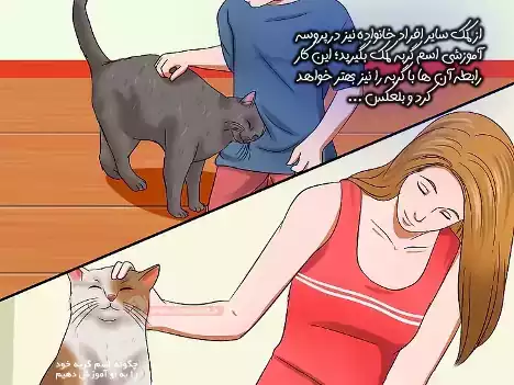 خانوادگی به آموزش اسم گربه بپردازید