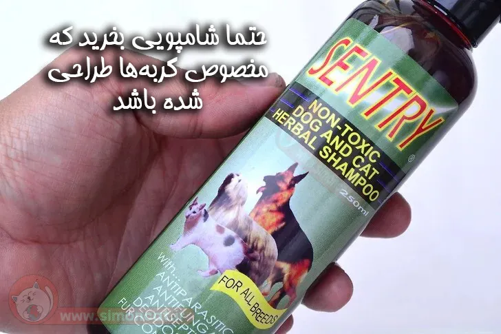 خرید شامپو مخصوص شستشوی گربه