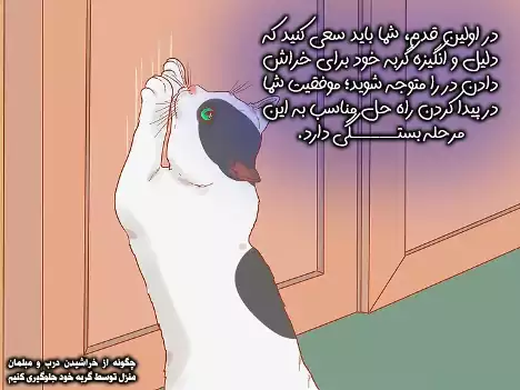 دلیل خراش گربه