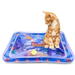 اسباب بازی گربه استخر مستطیل