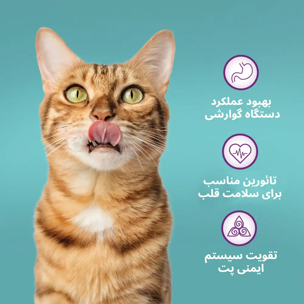 مزایای تائورین برای گربه