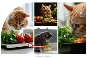 میوه‌ها و سبزیجات نامناسب برای گربه ها