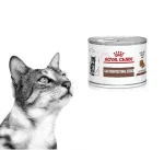 کنسرو گاسترو کیتن رویال کنین