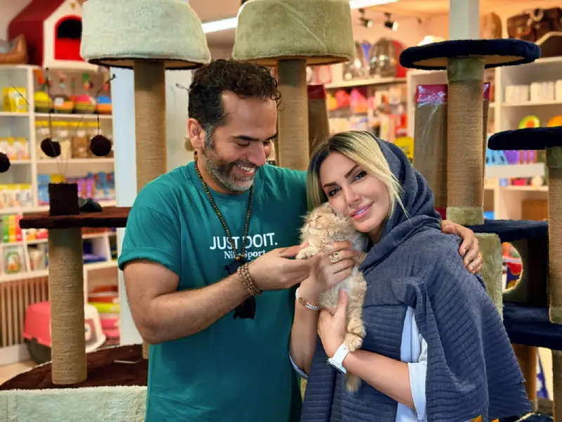 buy cat tehran _simon cat