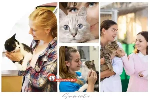 امکان خرید گربه در عید باستانی از سایمون کت