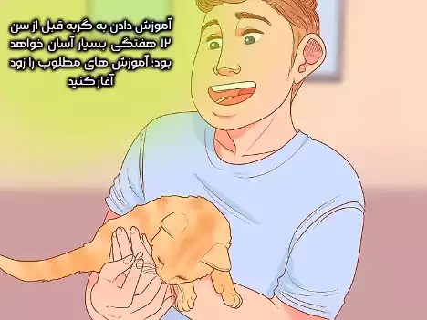 بغل کردن بچه گربه