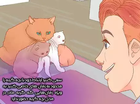 مادر و بچه گریه ها 